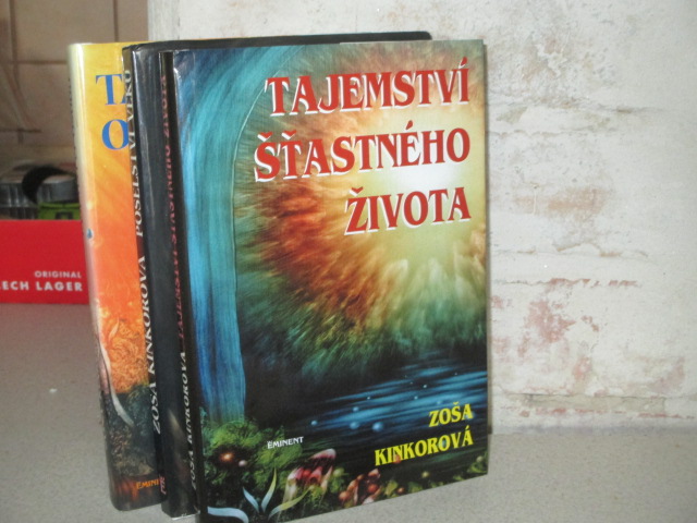 Zav��t okno