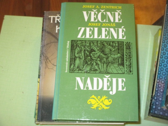 Zav��t okno