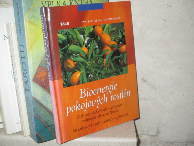 Zav��t okno