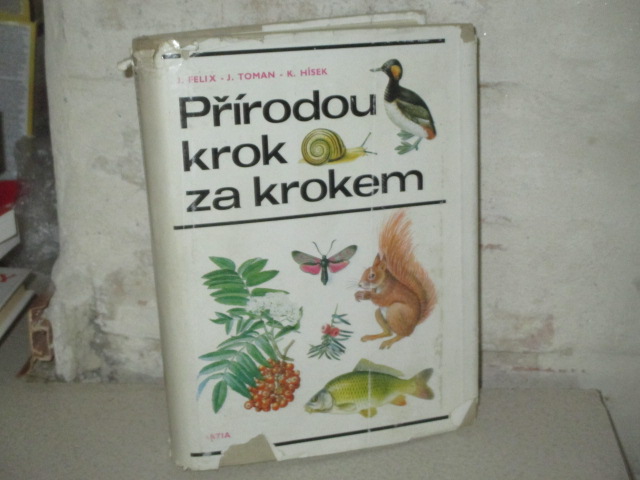 Zav��t okno