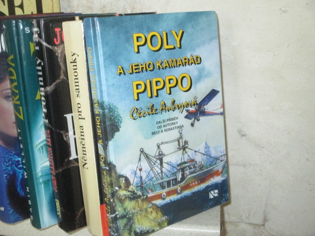 Zav��t okno