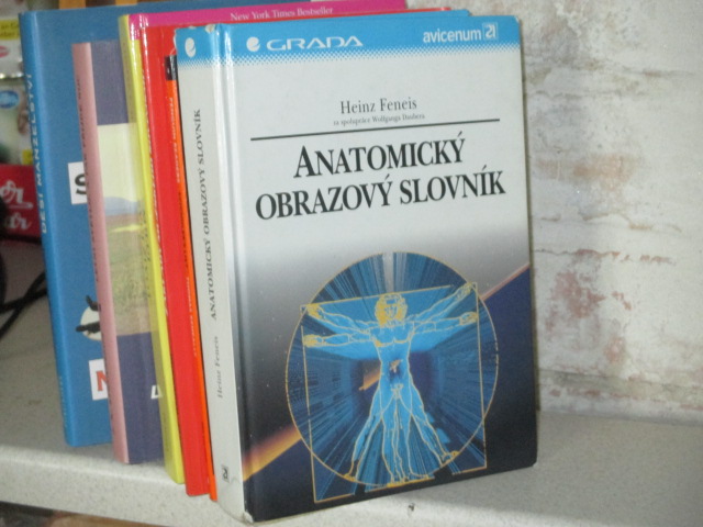 Zav��t okno