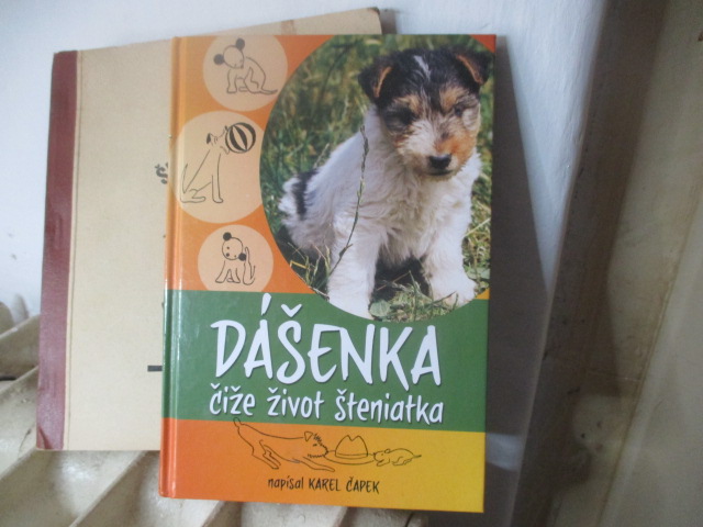 Zav��t okno