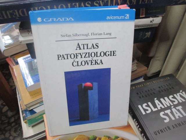 Zav��t okno