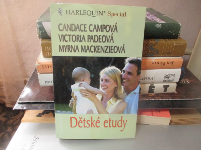 Zav��t okno