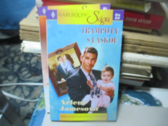 Zav��t okno