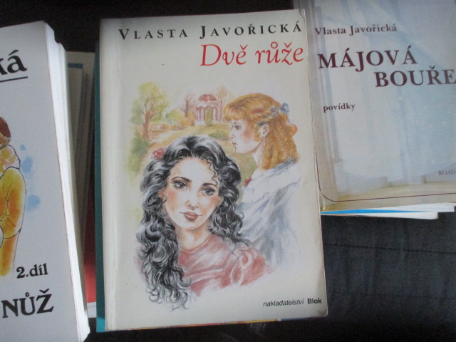 Zav��t okno