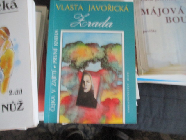 Zav��t okno