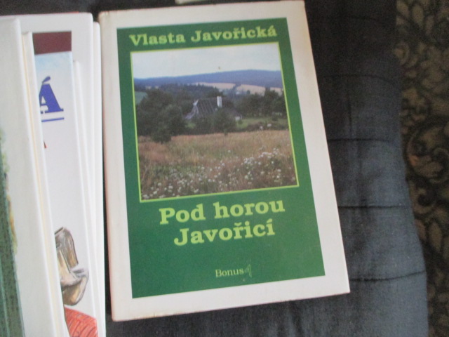 Zav��t okno