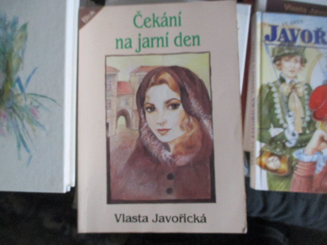 Zav��t okno