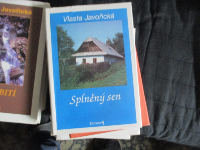 Zav��t okno