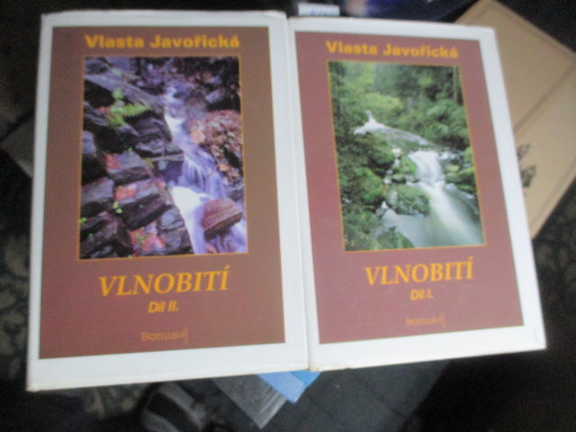 Zav��t okno