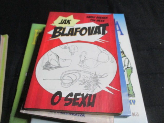 Zav��t okno