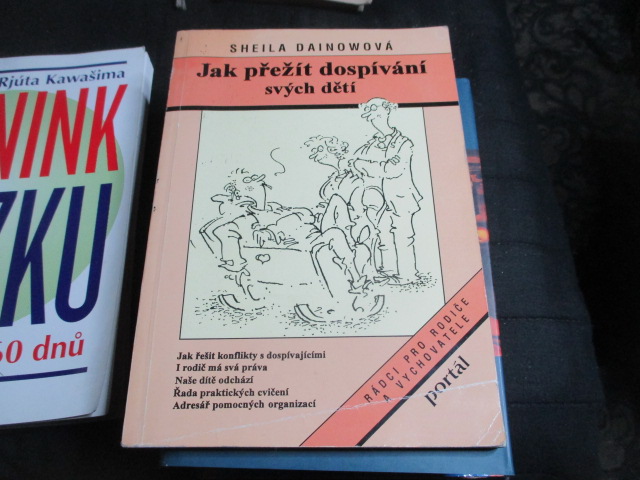 Zav��t okno