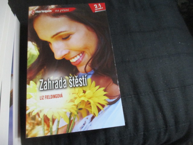 Zav��t okno