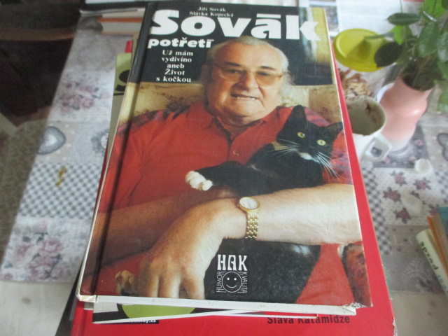 Zav��t okno