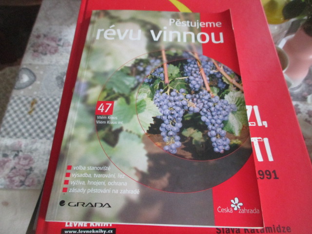 Zav��t okno