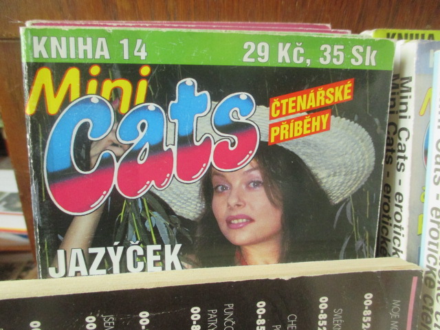 Zav��t okno