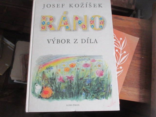 Zav��t okno