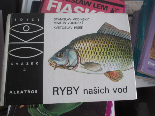 Zav��t okno
