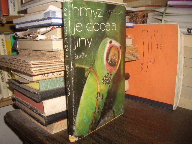 Zav��t okno