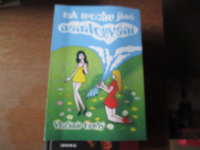 Zav��t okno