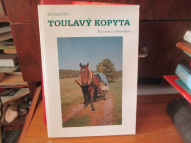Zav��t okno