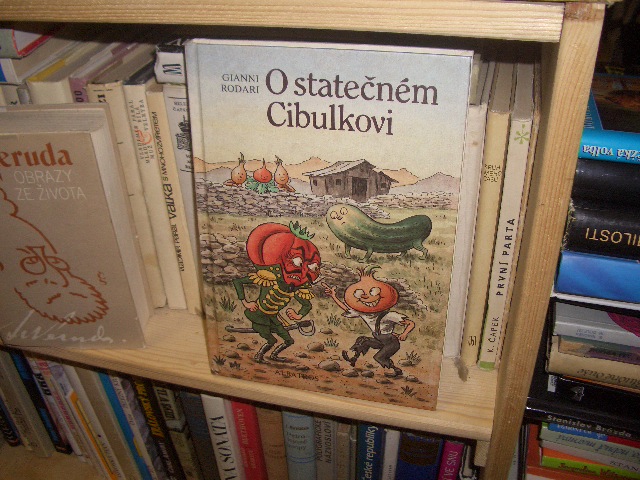 Zav��t okno
