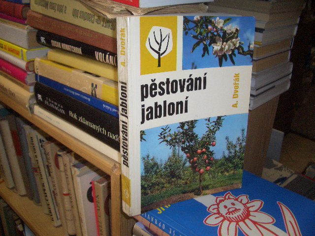 Zav��t okno