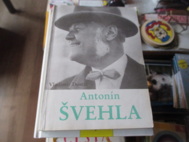 Zav��t okno