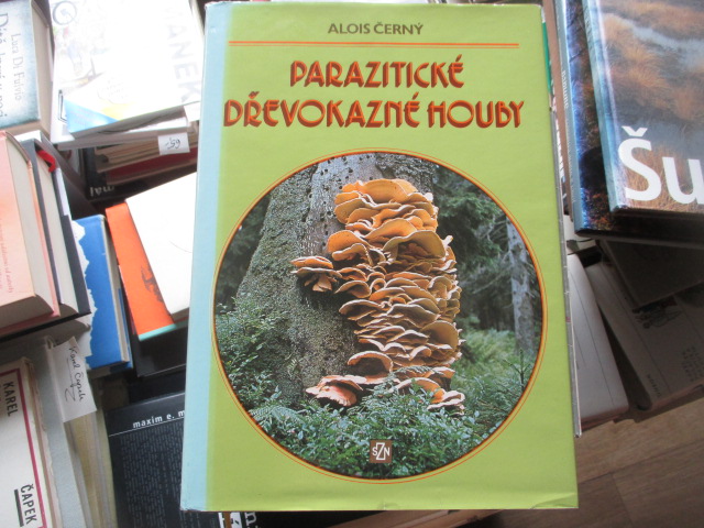 Zav��t okno