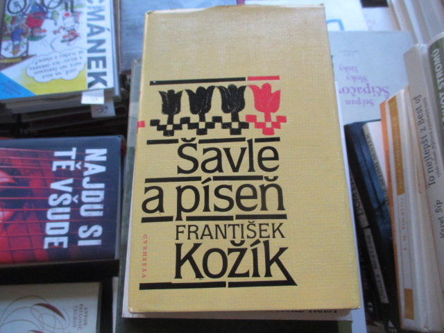 Zav��t okno