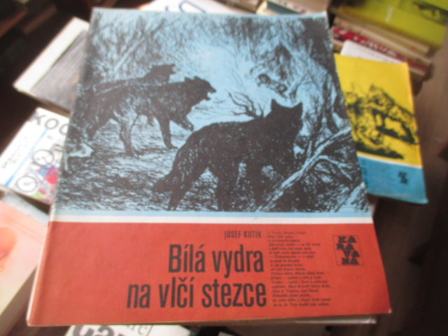 Zav��t okno