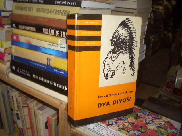 Zav��t okno