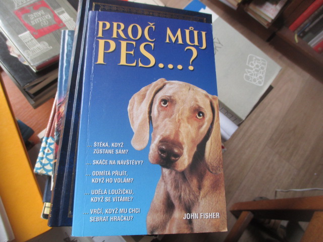 Zav��t okno