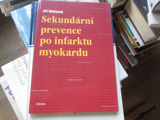 Zav��t okno