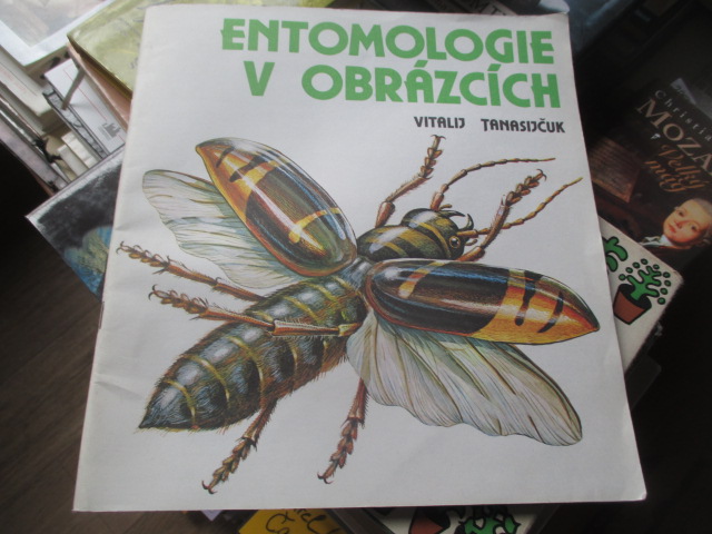 Zav��t okno