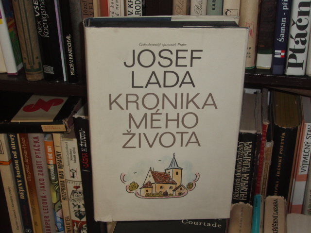 Zav��t okno