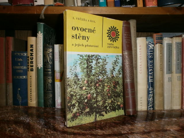 Zav��t okno
