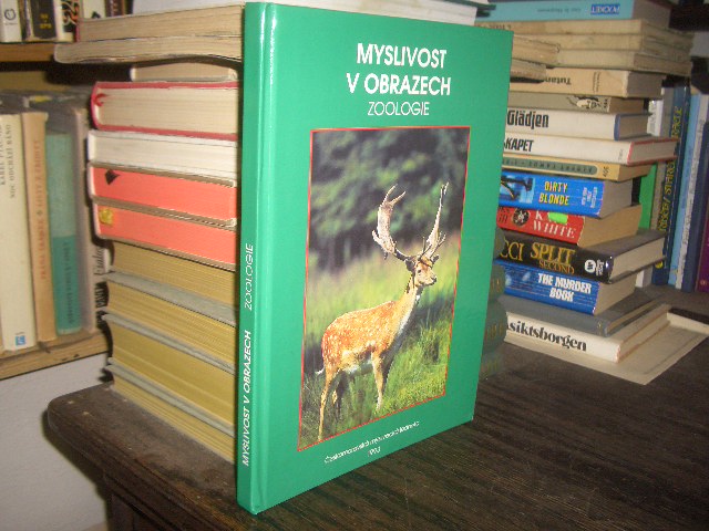 Zav��t okno
