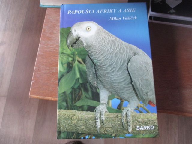 Zav��t okno