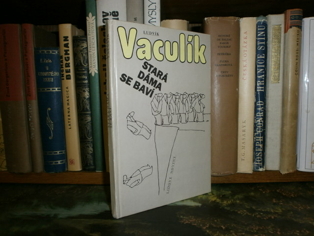 Zav��t okno