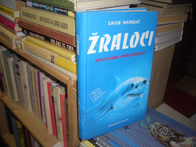 Zav��t okno