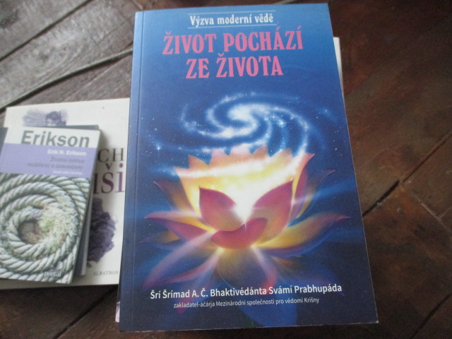 Zav��t okno